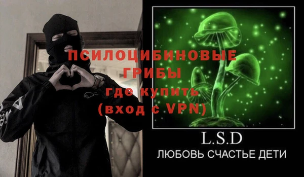 Альфа ПВП Белокуриха