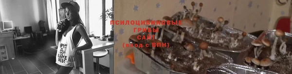 mdpv Беломорск